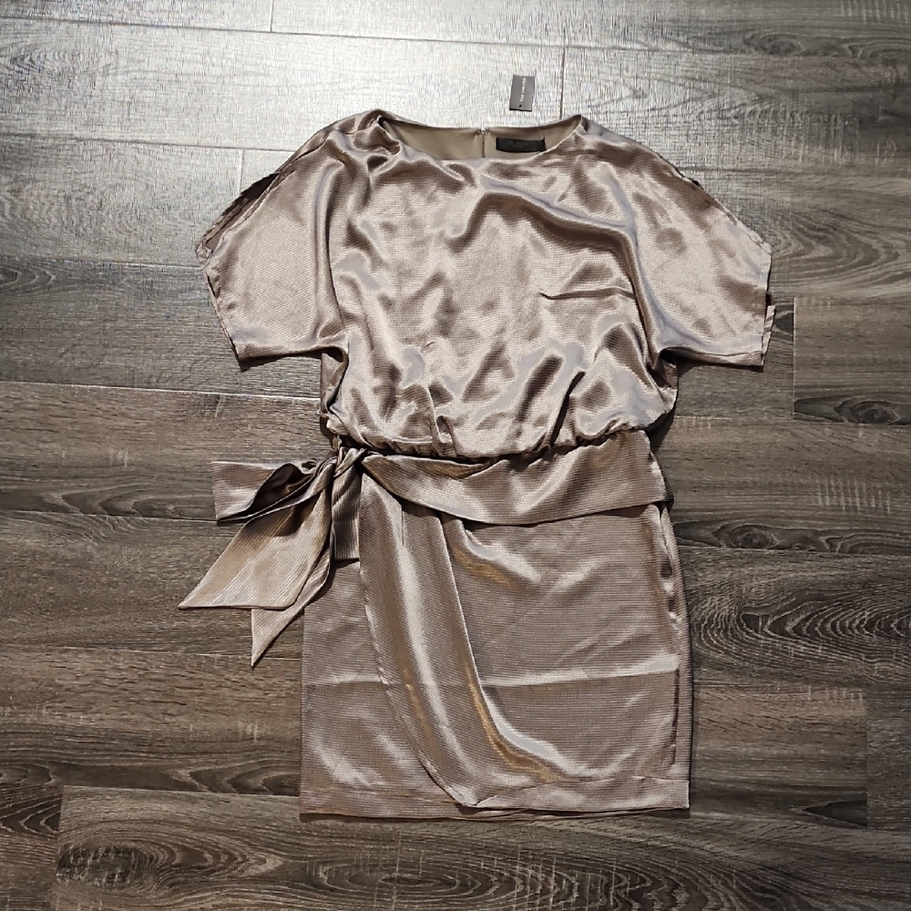 🦇 The Limited Shimmering Taupe Mini Dress 🦇